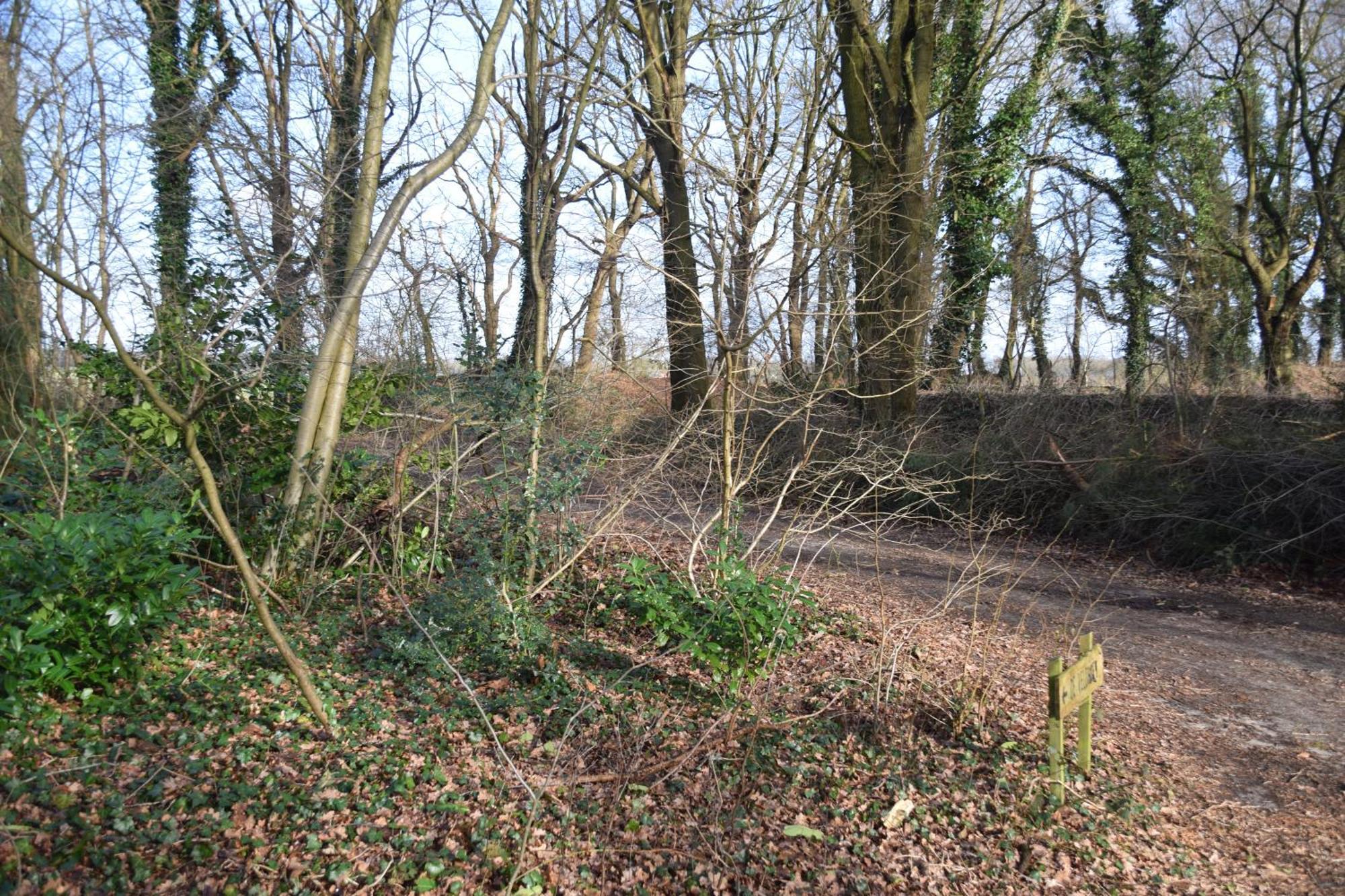 Vakantiehuis De Veldhoen Vrijgelegen Nabij De Rivier De Vecht Beerze ภายนอก รูปภาพ