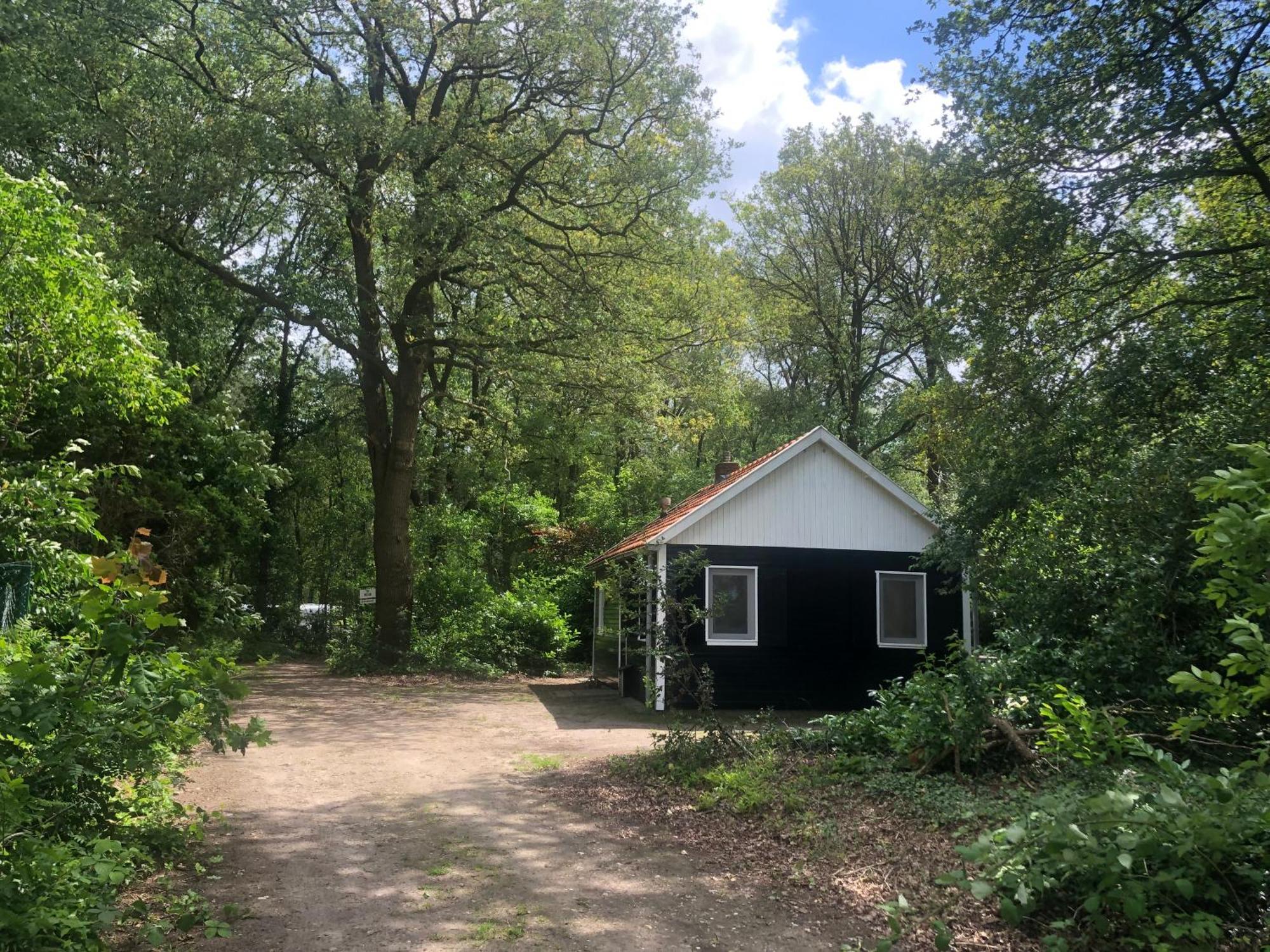 Vakantiehuis De Veldhoen Vrijgelegen Nabij De Rivier De Vecht Beerze ภายนอก รูปภาพ