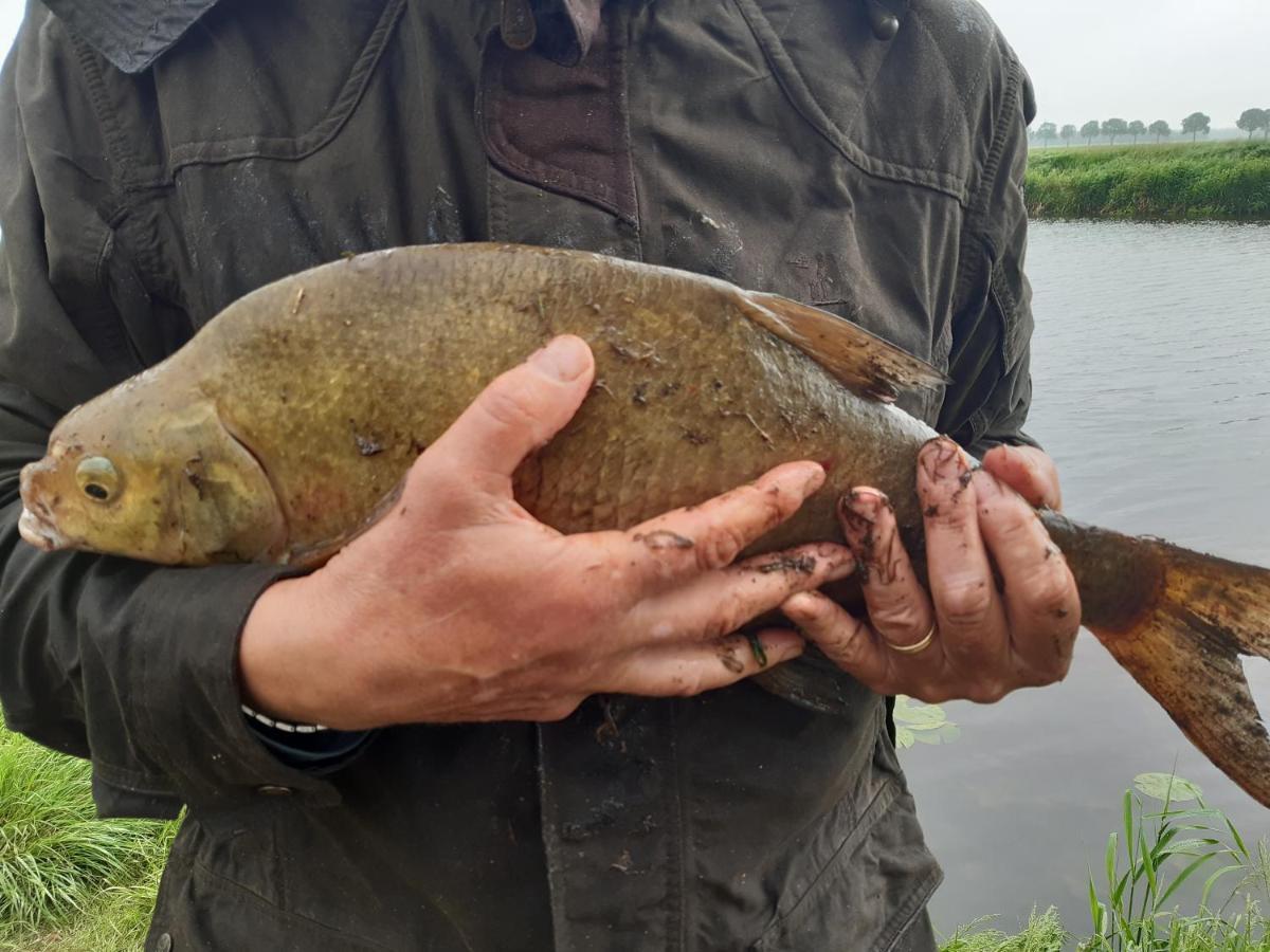 Vakantiehuis De Veldhoen Vrijgelegen Nabij De Rivier De Vecht Beerze ภายนอก รูปภาพ